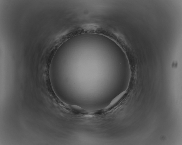 X0000093521445200710121535