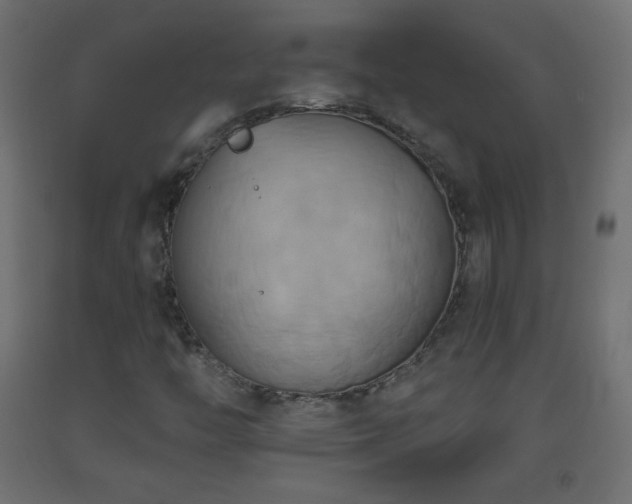 X0000093521446200710121535