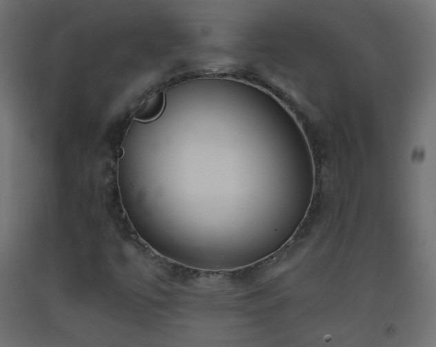 X0000093521447200710121535