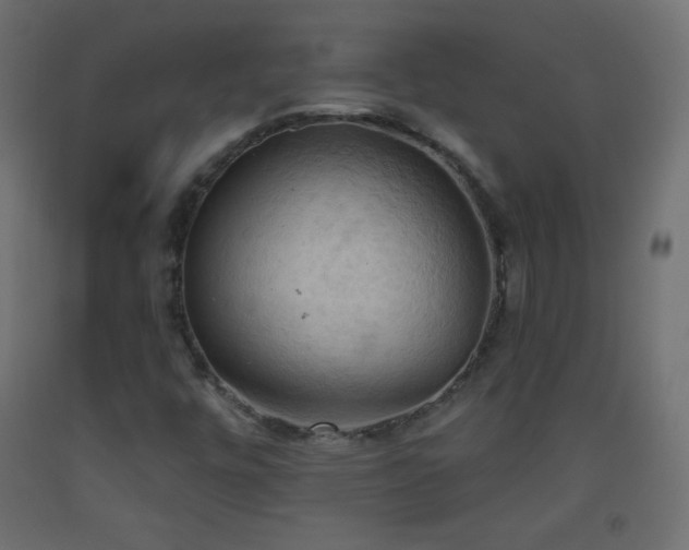 X0000093521448200710121535
