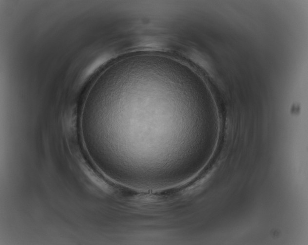 X0000093521450200710121535