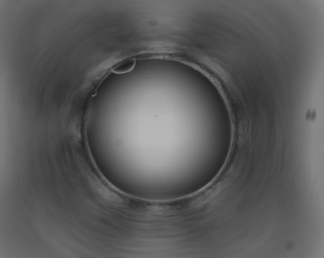 X0000093521451200710121535