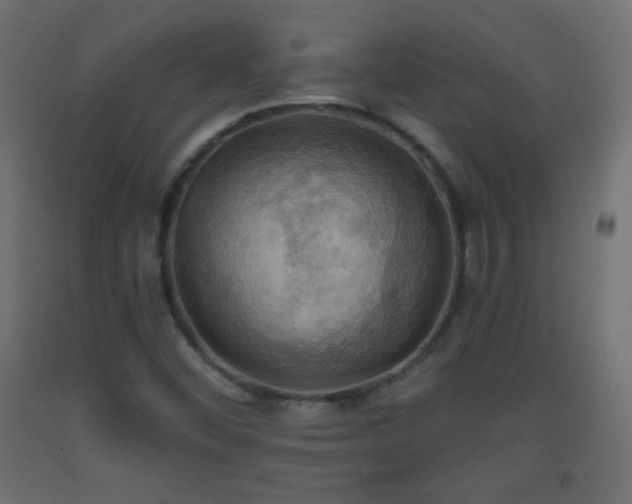 X0000093521452200710121535
