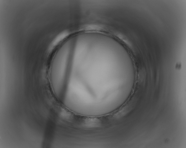 X0000093521454200710121535