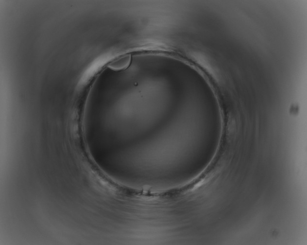 X0000093521455200710121535