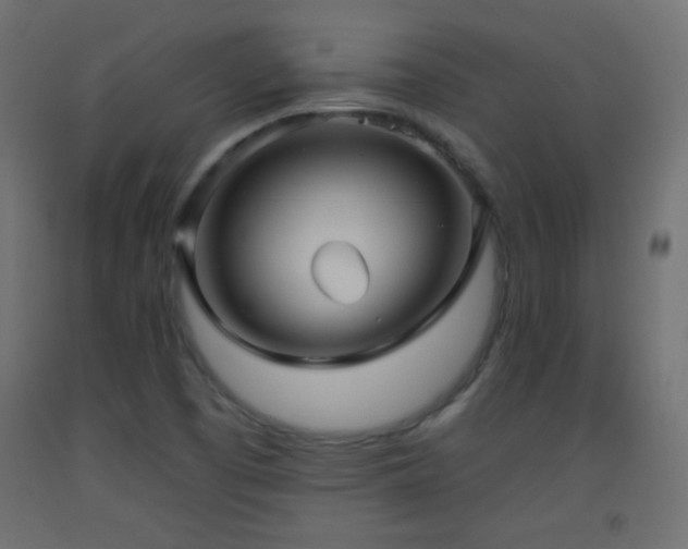 X0000093521457200710121535