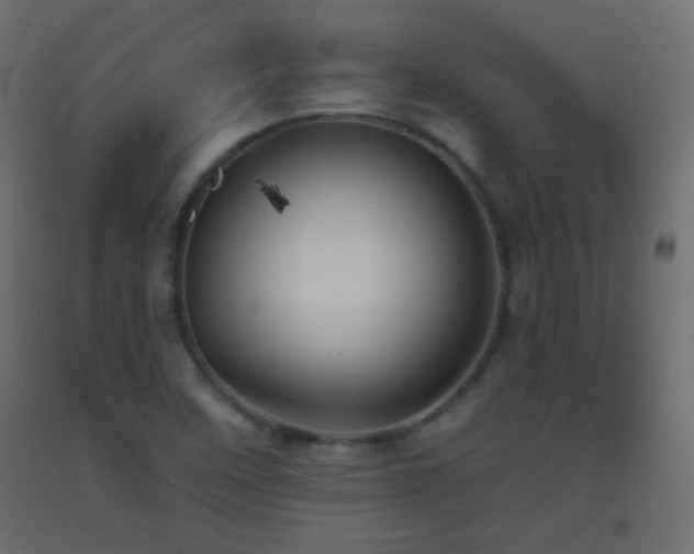 X0000093521458200710121535