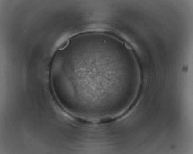 X0000093521459200710121535