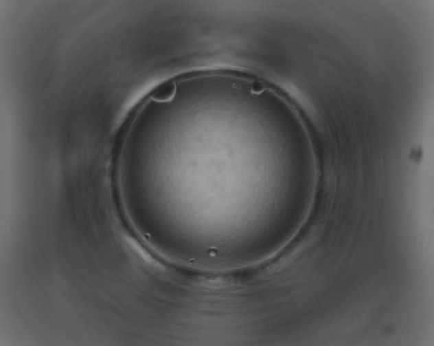 X0000093521460200710121535