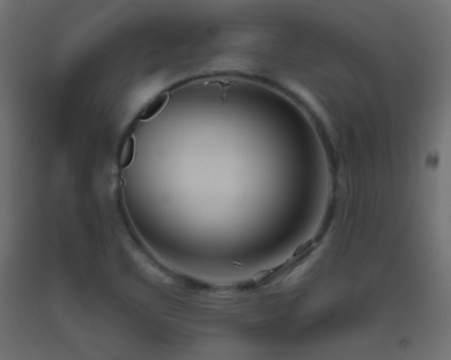 X0000093521461200710121535