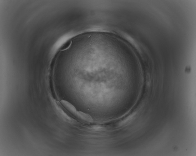 X0000093521463200710121535