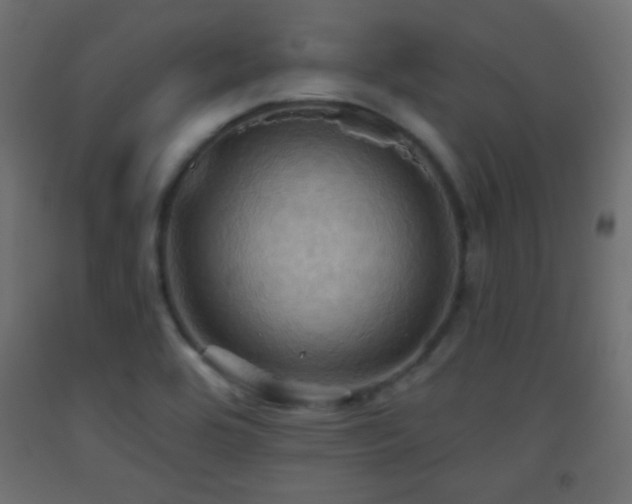 X0000093521464200710121535