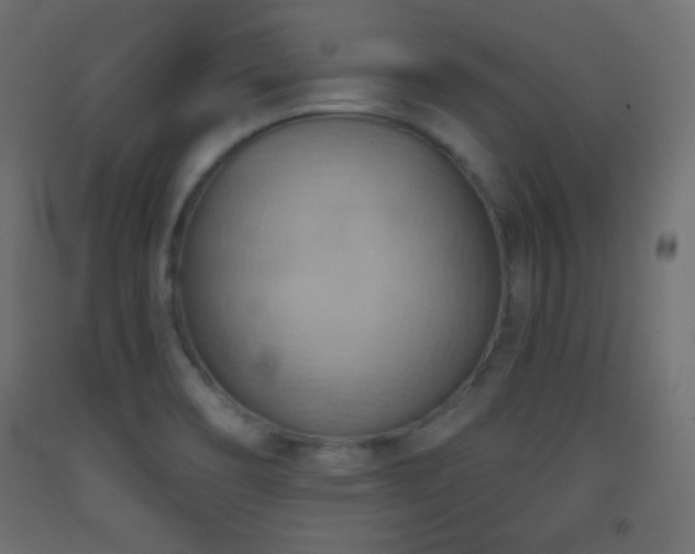 X0000093521466200710121535