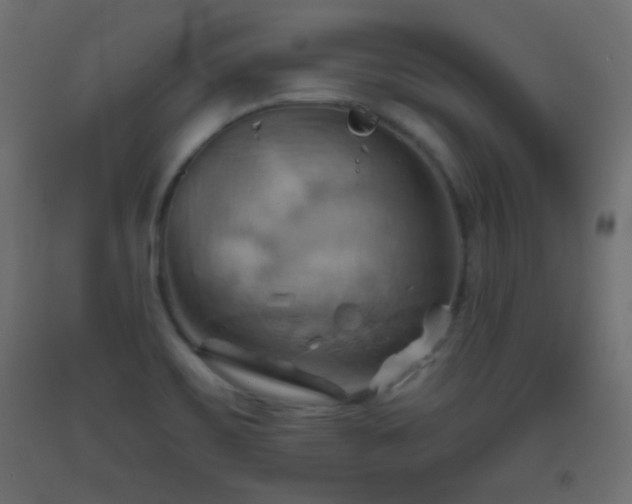 X0000093521467200710121535