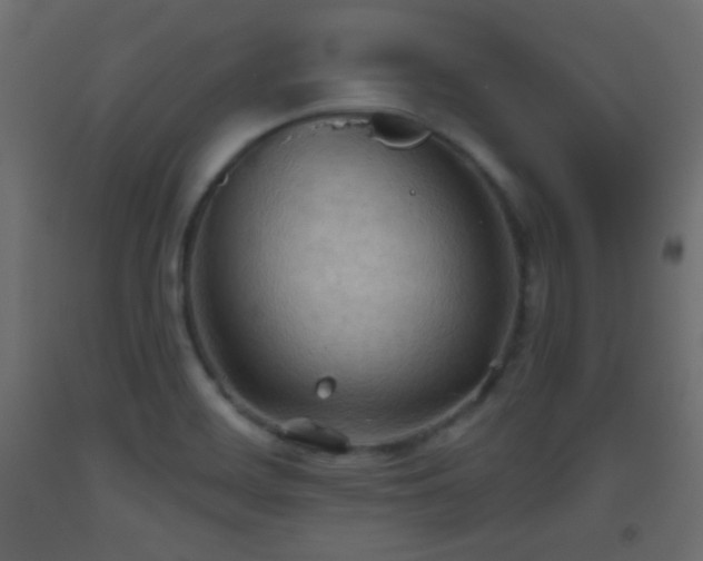 X0000093521468200710121535