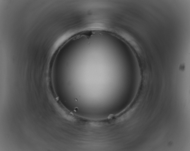 X0000093521469200710121535