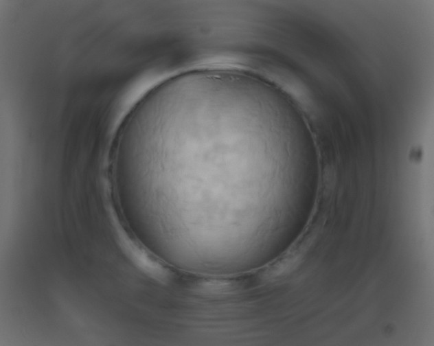 X0000093521470200710121535