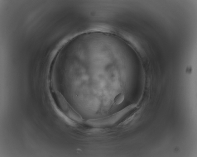 X0000093521471200710121535