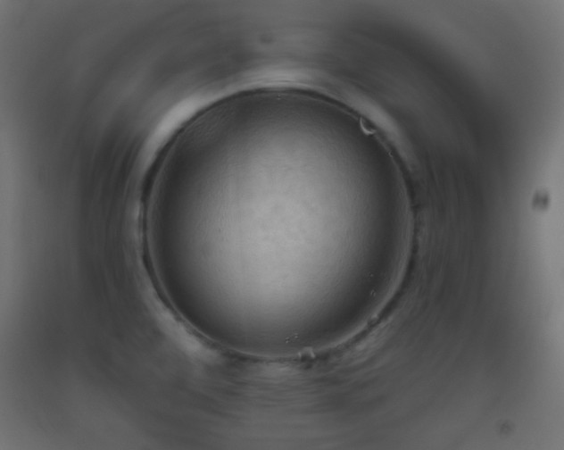 X0000093521472200710121535