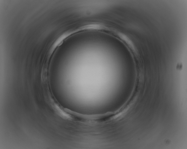 X0000093521473200710121535