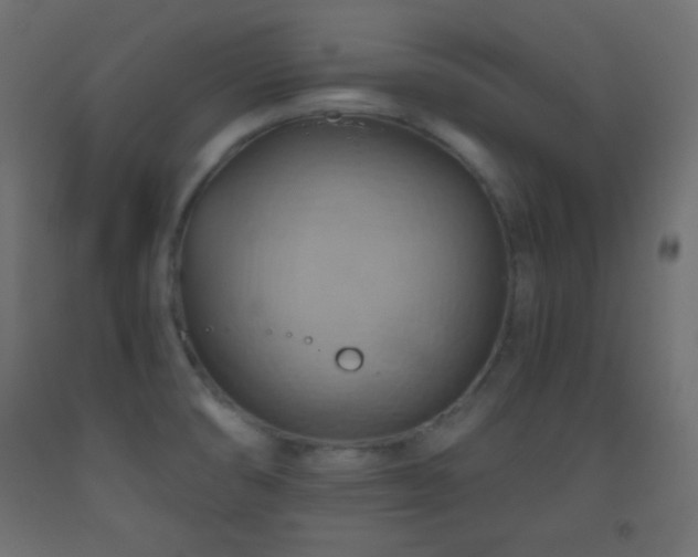 X0000093521474200710121535
