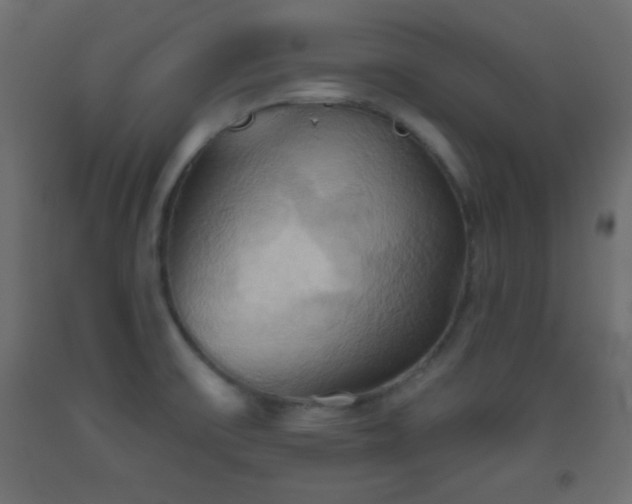 X0000093521475200710121535