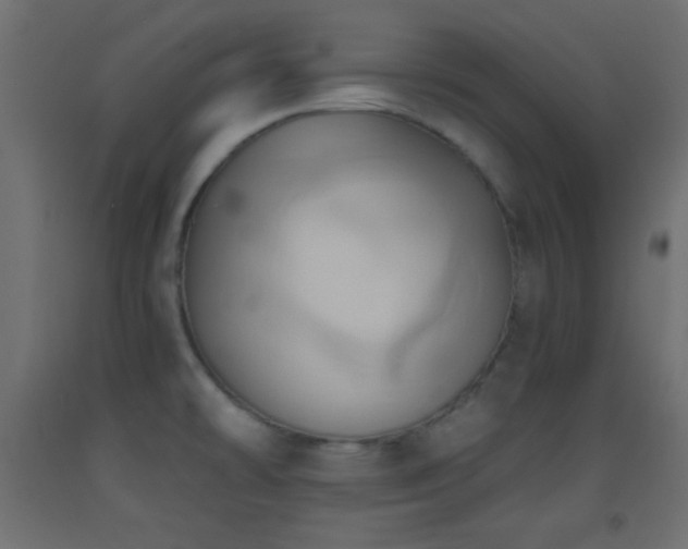 X0000093521478200710121535