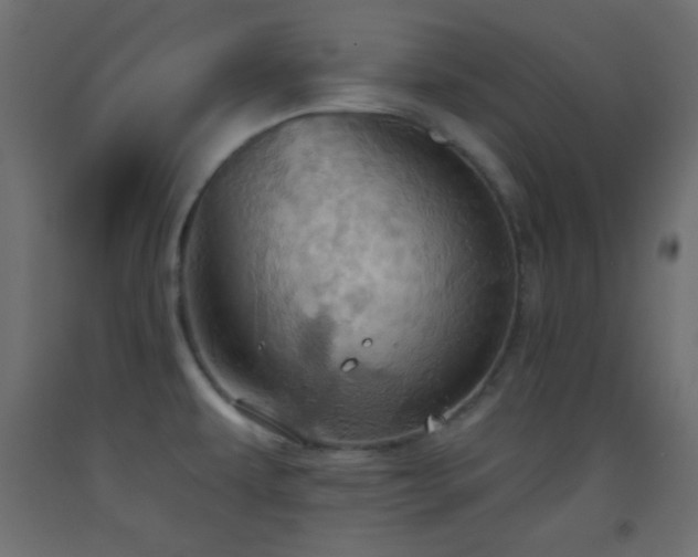 X0000093521479200710121535