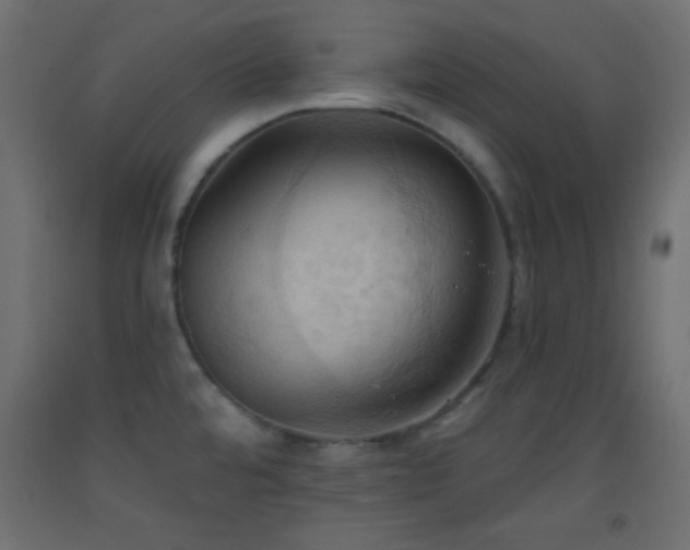 X0000093521480200710121535