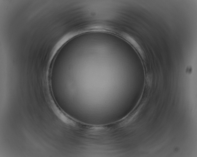 X0000093521482200710121534