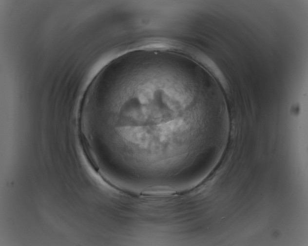 X0000093521483200710121534