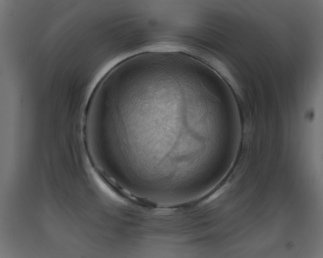 X0000093521484200710121534