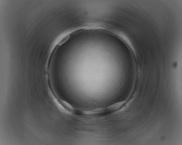 X0000093521485200710121534