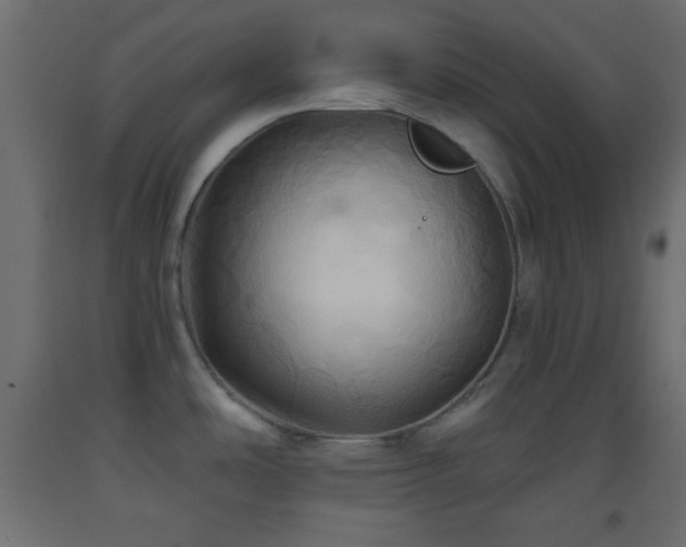 X0000093521486200710121534