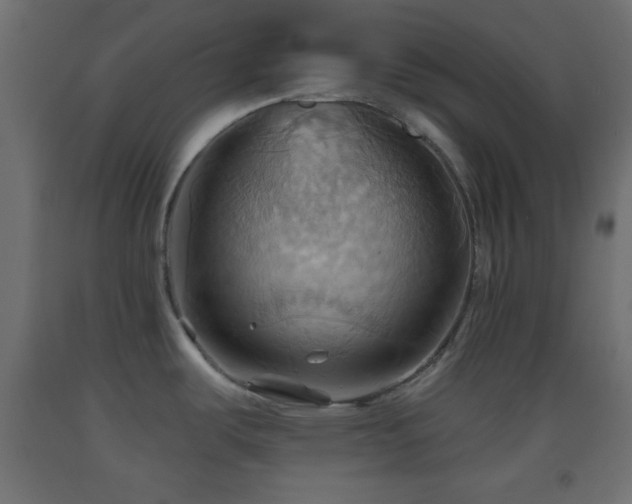 X0000093521487200710121534