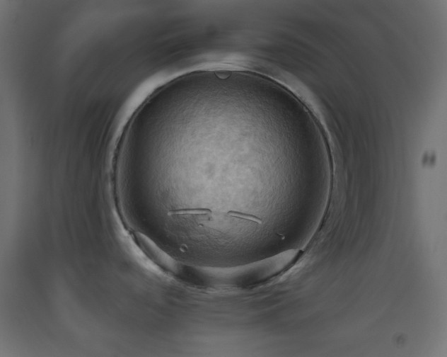 X0000093521488200710121534