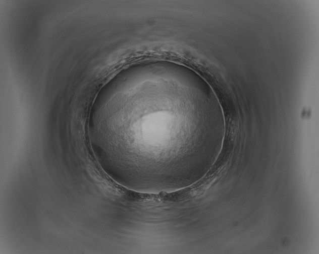 X0000093521489200710121534