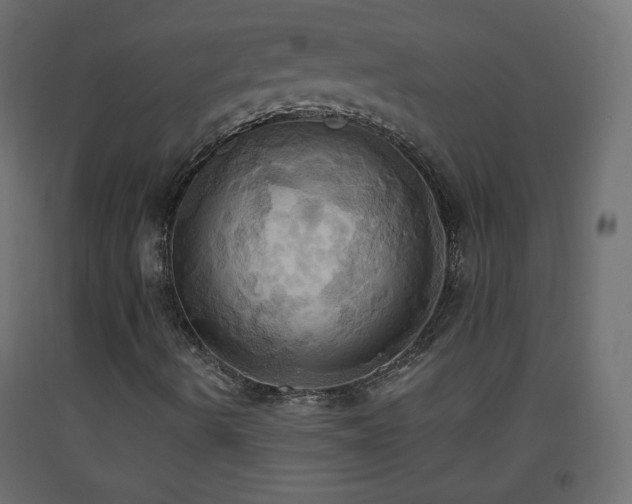 X0000093521490200710121534