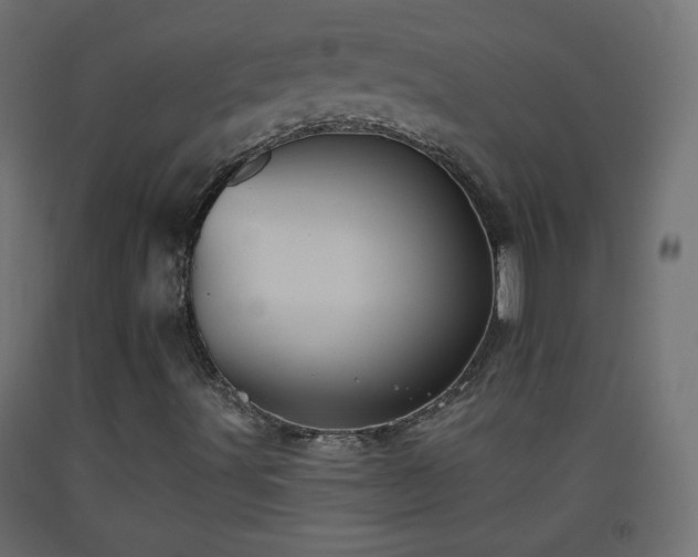 X0000093521491200710121534
