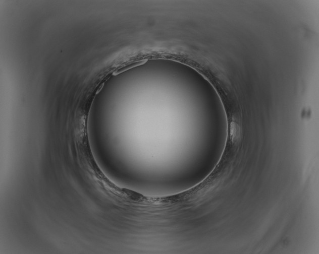X0000093521492200710121534