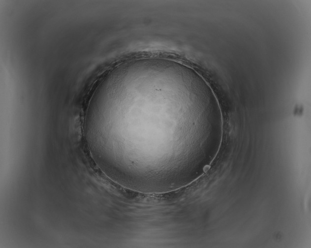 X0000093521493200710121534