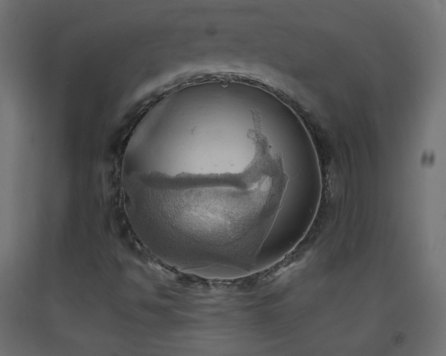 X0000093521494200710121534