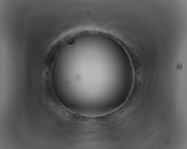 X0000093521495200710121534