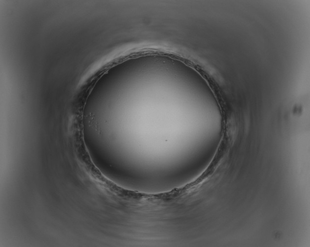 X0000093521496200710121534