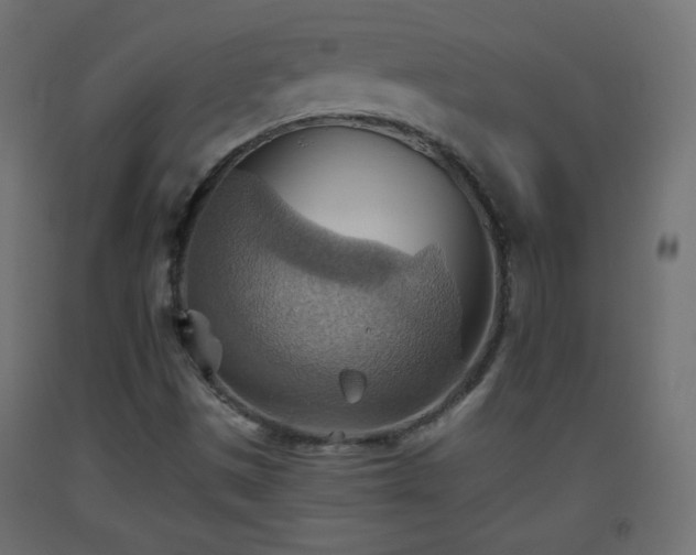 X0000093521497200710121534