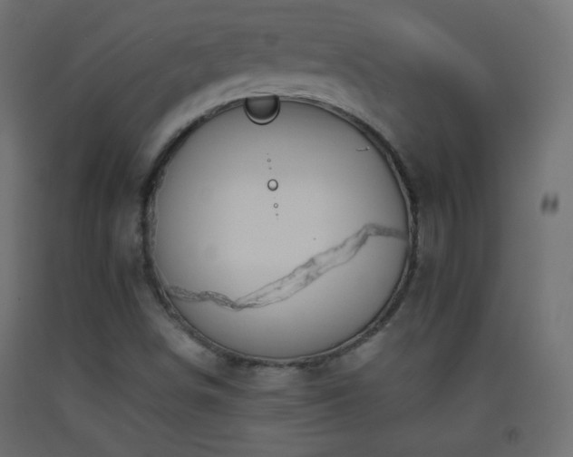 X0000093521498200710121534
