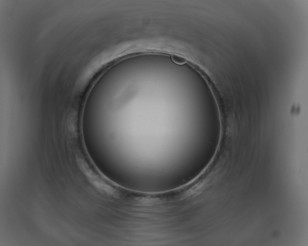 X0000093521499200710121534