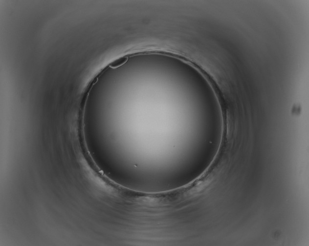 X0000093521500200710121534