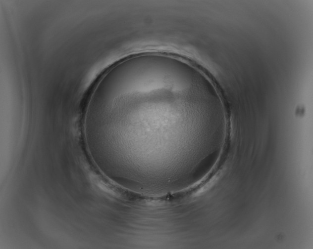 X0000093521501200710121534