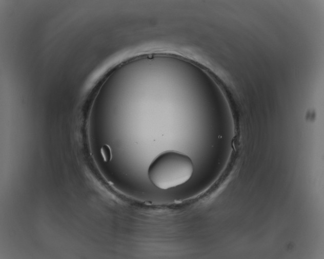 X0000093521502200710121534